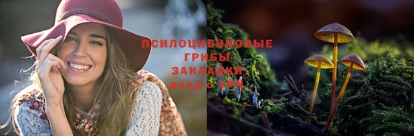 ешки Арсеньев