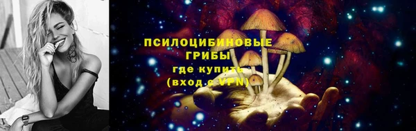 ешки Арсеньев