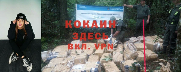 тгк Алзамай