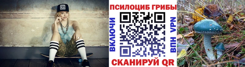 Галлюциногенные грибы прущие грибы  Балтийск 